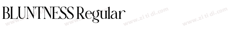 BLUNTNESS Regular字体转换 BLUNTNESS Regular字体转换